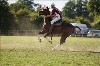 UKPA  NC Sat_1488